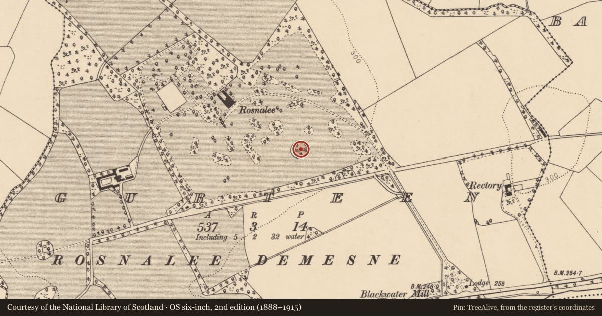 Ordnance Survey six-inch map, 2nd edition (1888–1915) covering the location of Designed landscape - tree-ring, Gurteen, County Cork, with a pin at the register's coordinates