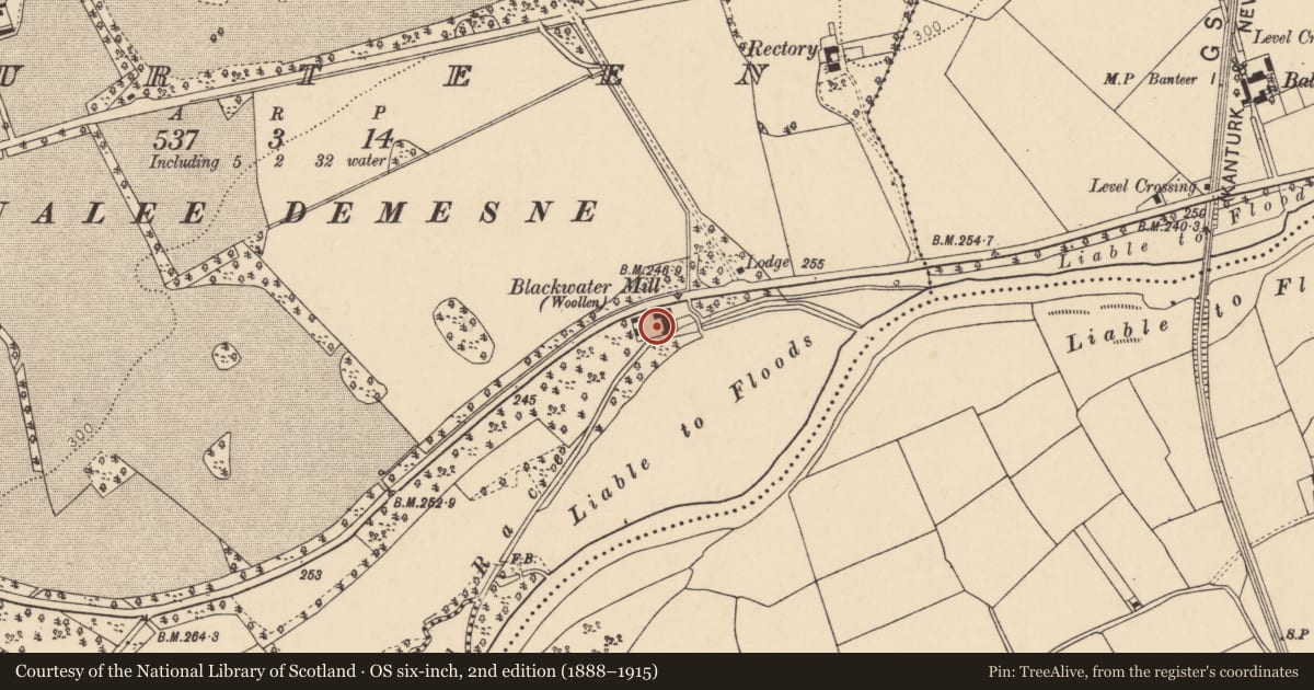 Ordnance Survey six-inch map, 2nd edition (1888–1915) covering the location of Mill - corn, Gurteen, County Cork, with a pin at the register's coordinates