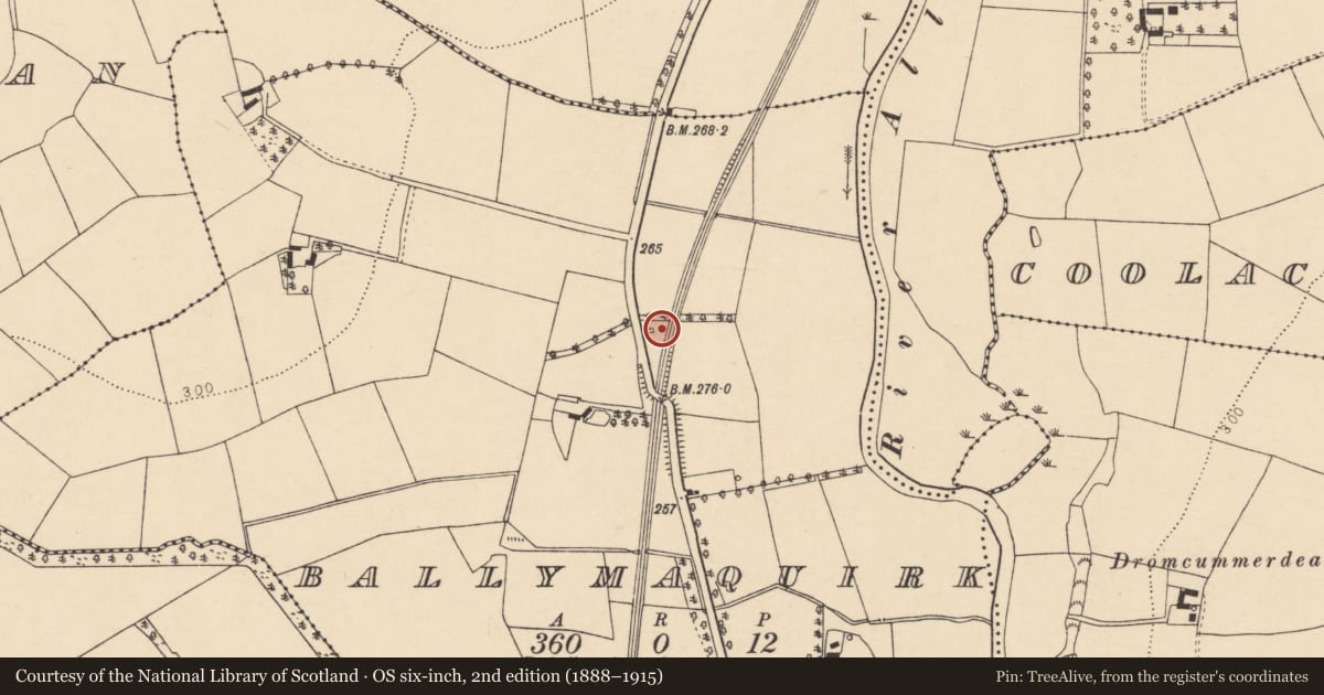 Ordnance Survey six-inch map, 2nd edition (1888–1915) covering the location of Kiln - lime, Ballymaquirk, County Cork, with a pin at the register's coordinates