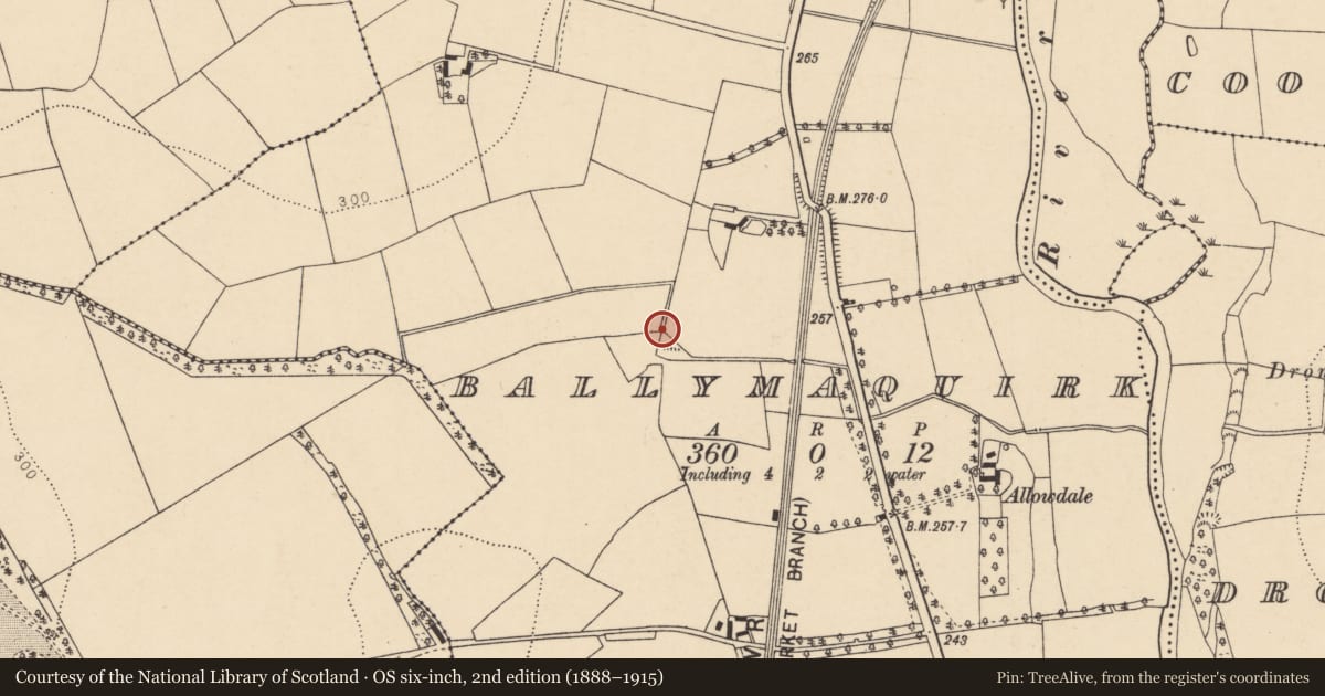Ordnance Survey six-inch map, 2nd edition (1888–1915) covering the location of Fulacht fia, Ballymaquirk, County Cork, with a pin at the register's coordinates