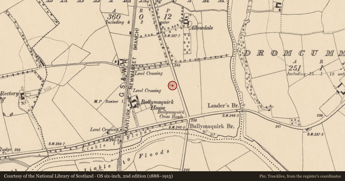 Ordnance Survey six-inch map, 2nd edition (1888–1915) covering the location of Kiln - lime, Ballymaquirk, County Cork, with a pin at the register's coordinates