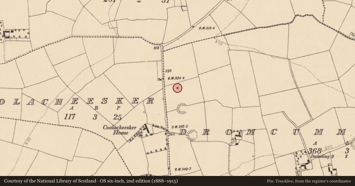 Ordnance Survey six-inch map, 2nd edition (1888–1915) covering the location of Fulacht fia, Dromcummer More, County Cork, with a pin at the register's coordinates