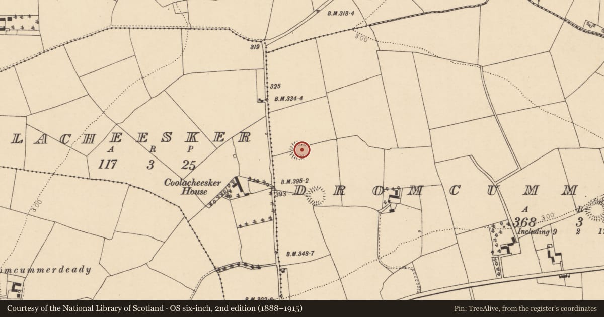 Ordnance Survey six-inch map, 2nd edition (1888–1915) covering the location of Ringfort - rath, Dromcummer More, County Cork, with a pin at the register's coordinates