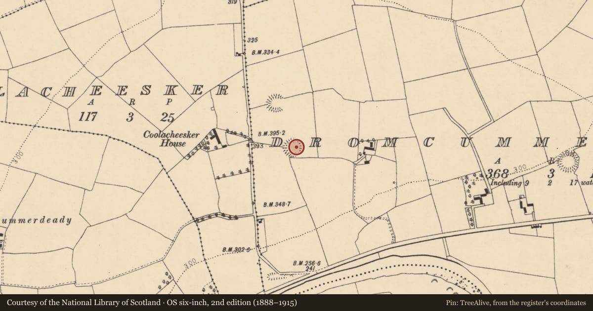 Ordnance Survey six-inch map, 2nd edition (1888–1915) covering the location of Ringfort - rath, Dromcummer More, County Cork, with a pin at the register's coordinates