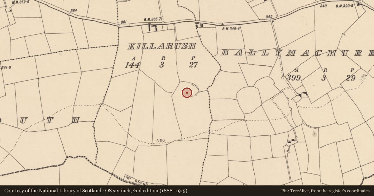 Ordnance Survey six-inch map, 2nd edition (1888–1915) covering the location of Ecclesiastical enclosure, Killarush, County Cork, with a pin at the register's coordinates
