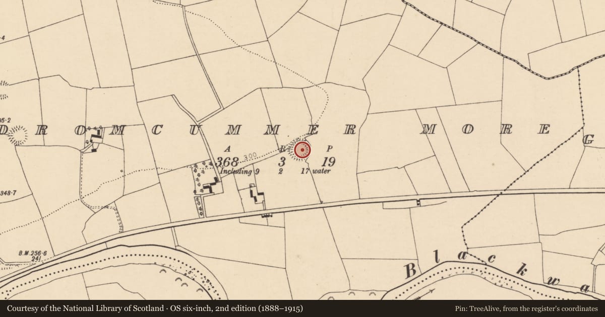 Ordnance Survey six-inch map, 2nd edition (1888–1915) covering the location of Ringfort - rath, Dromcummer More, County Cork, with a pin at the register's coordinates