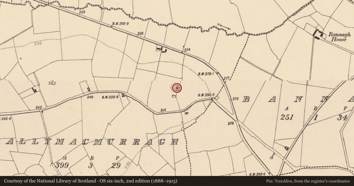 Ordnance Survey six-inch map, 2nd edition (1888–1915) covering the location of Souterrain, Ballymacmurragh, County Cork, with a pin at the register's coordinates