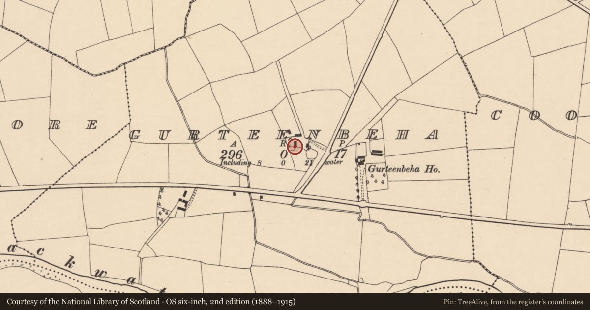 Ordnance Survey six-inch map, 2nd edition (1888–1915) covering the location of House - vernacular house, Gurteenbeha, County Cork, with a pin at the register's coordinates