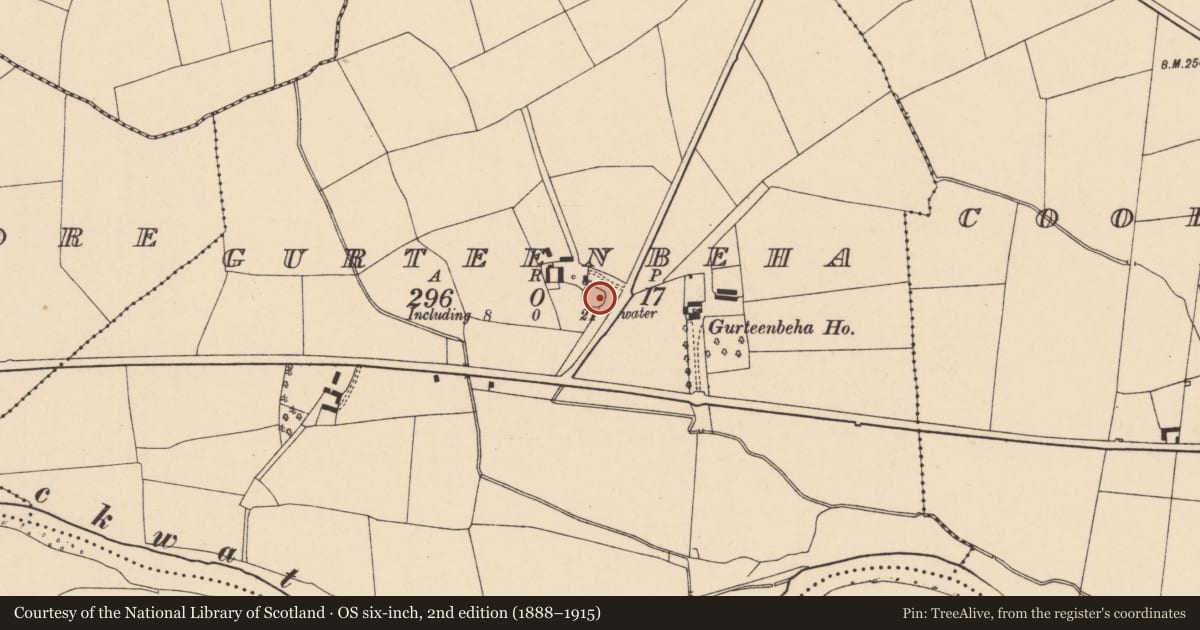 Ordnance Survey six-inch map, 2nd edition (1888–1915) covering the location of Souterrain, Gurteenbeha, County Cork, with a pin at the register's coordinates