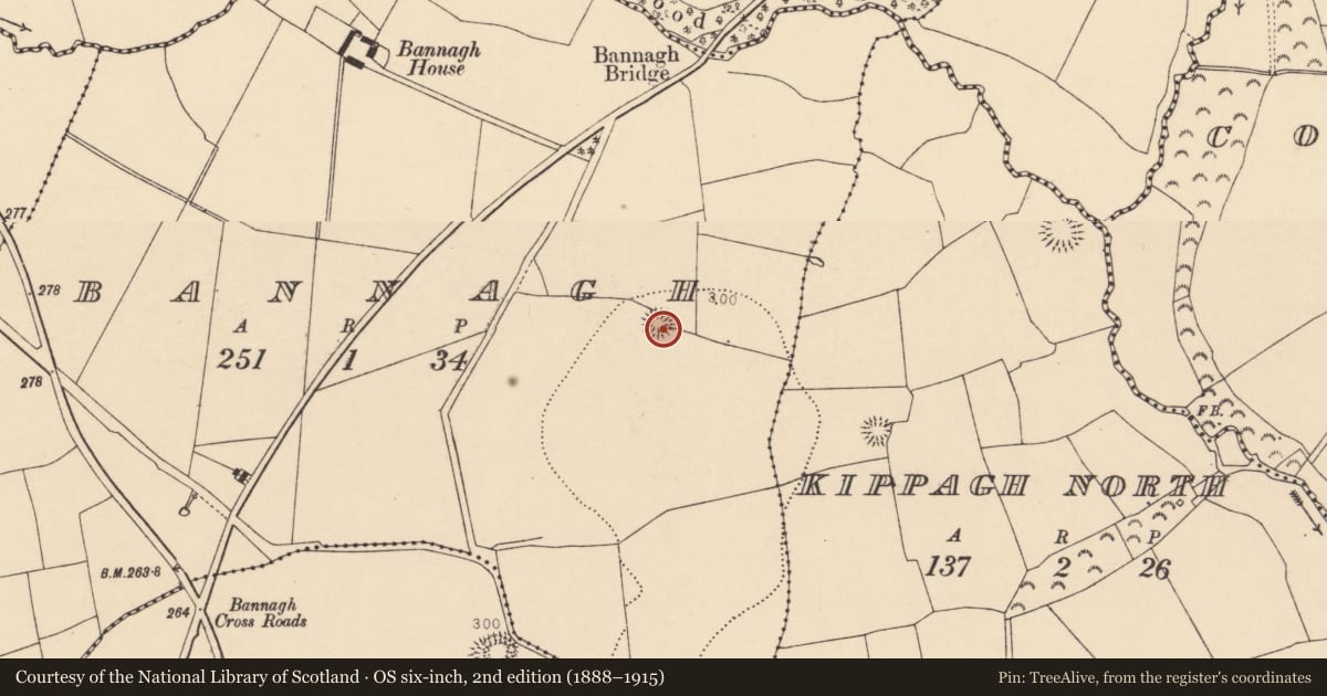 Ordnance Survey six-inch map, 2nd edition (1888–1915) covering the location of Ringfort - rath, Bannagh, County Cork, with a pin at the register's coordinates