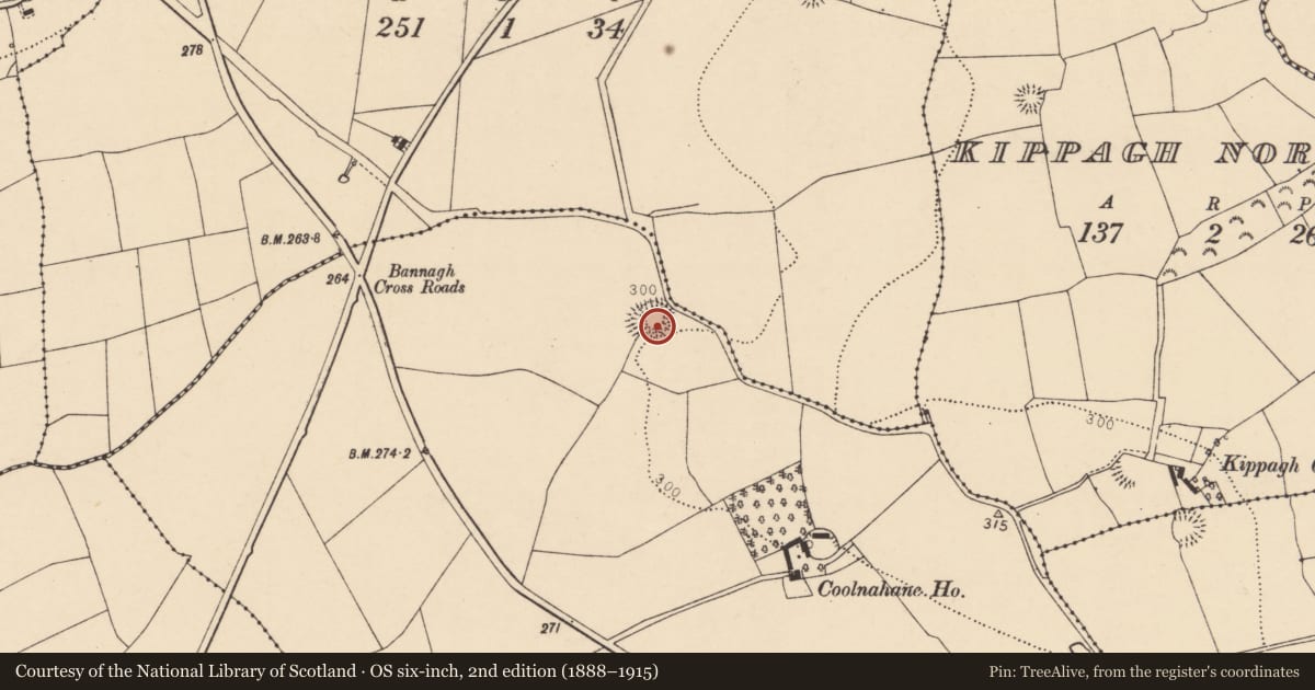 Ordnance Survey six-inch map, 2nd edition (1888–1915) covering the location of Ringfort - rath, Coolnahane, County Cork, with a pin at the register's coordinates