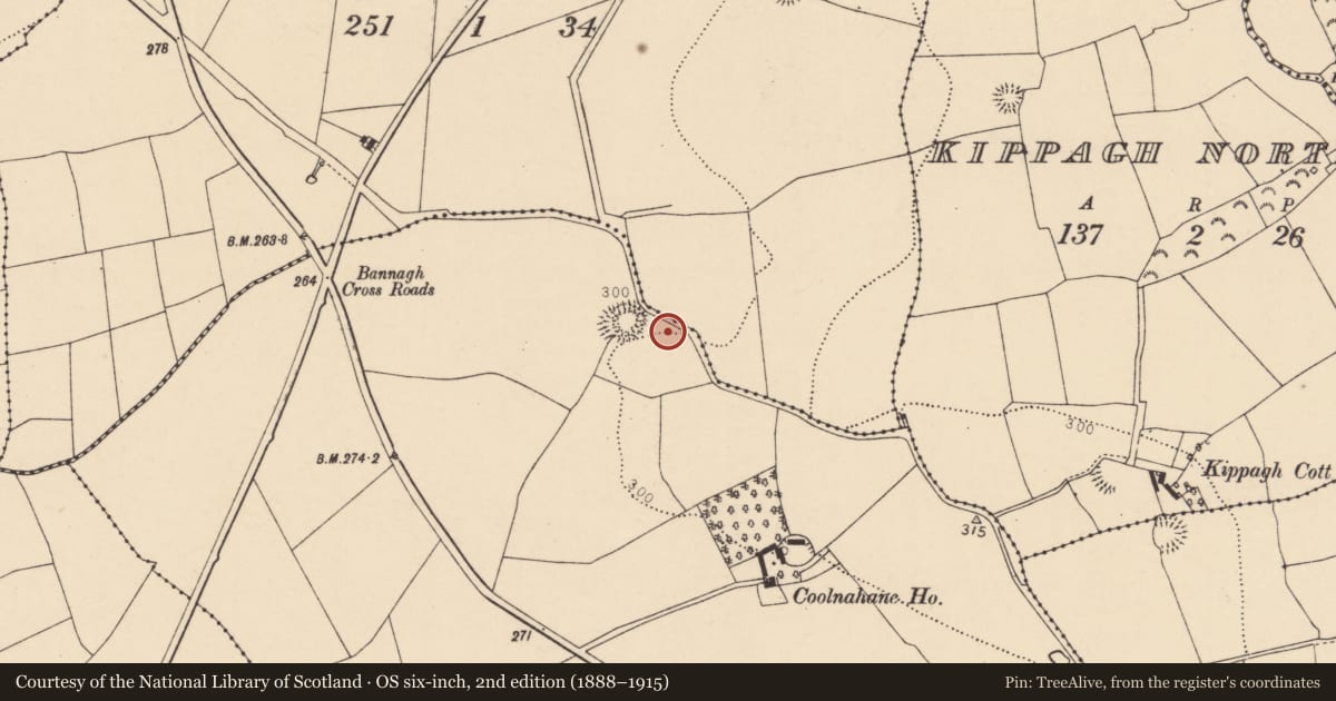 Ordnance Survey six-inch map, 2nd edition (1888–1915) covering the location of Urn burial, Coolnahane, County Cork, with a pin at the register's coordinates