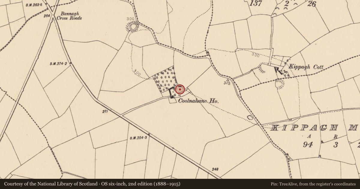 Ordnance Survey six-inch map, 2nd edition (1888–1915) covering the location of Ringfort - rath, Coolnahane, County Cork, with a pin at the register's coordinates
