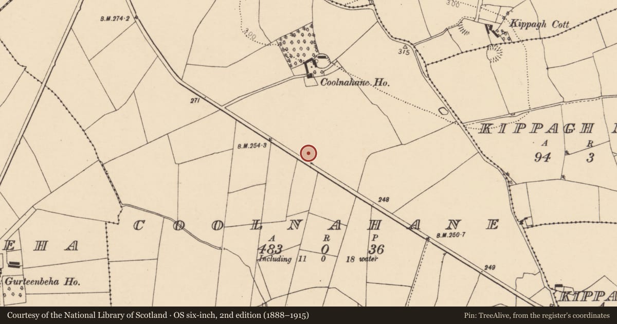 Ordnance Survey six-inch map, 2nd edition (1888–1915) covering the location of Fulacht fia, Coolnahane, County Cork, with a pin at the register's coordinates