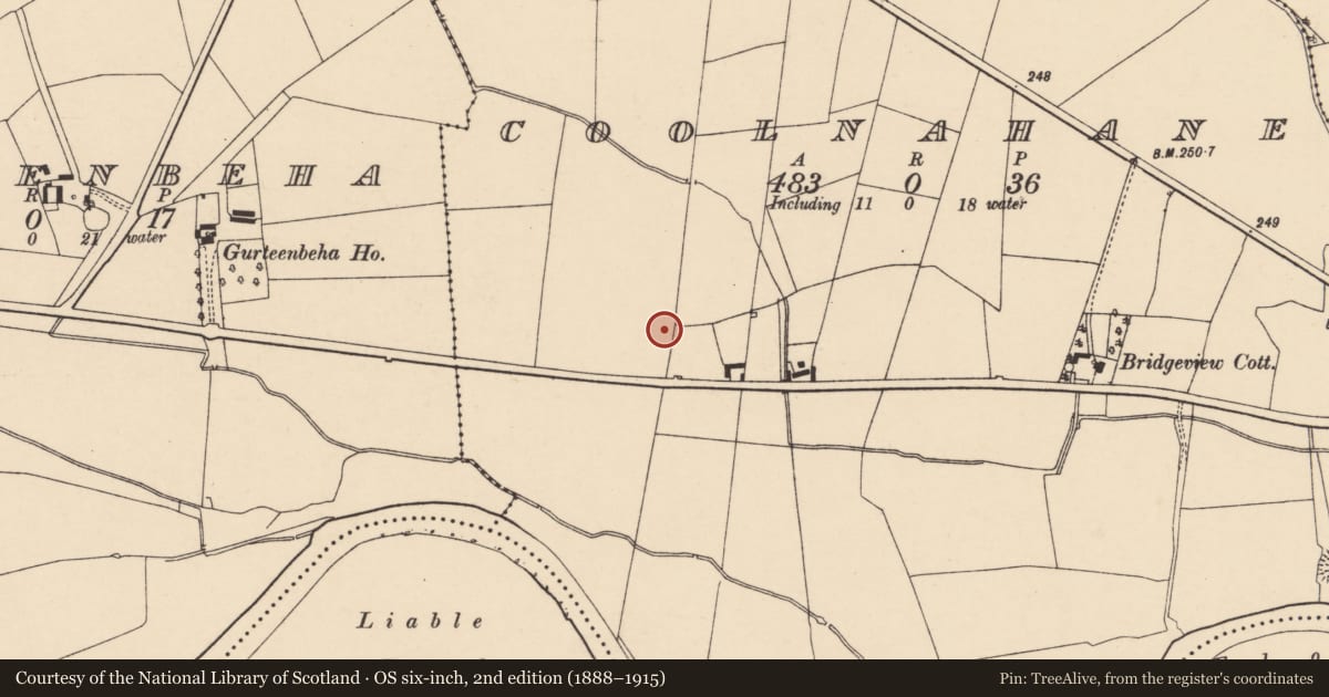 Ordnance Survey six-inch map, 2nd edition (1888–1915) covering the location of Ringfort - rath, Coolnahane, County Cork, with a pin at the register's coordinates