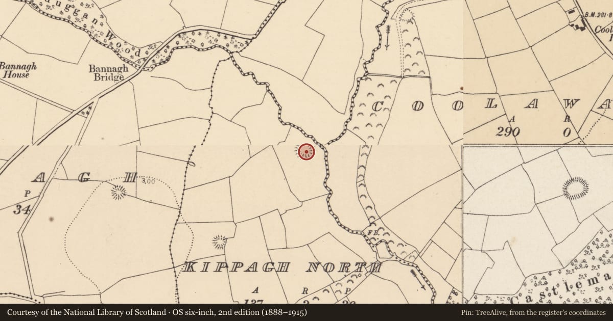 Ordnance Survey six-inch map, 2nd edition (1888–1915) covering the location of Ringfort - rath, Kippagh North, County Cork, with a pin at the register's coordinates