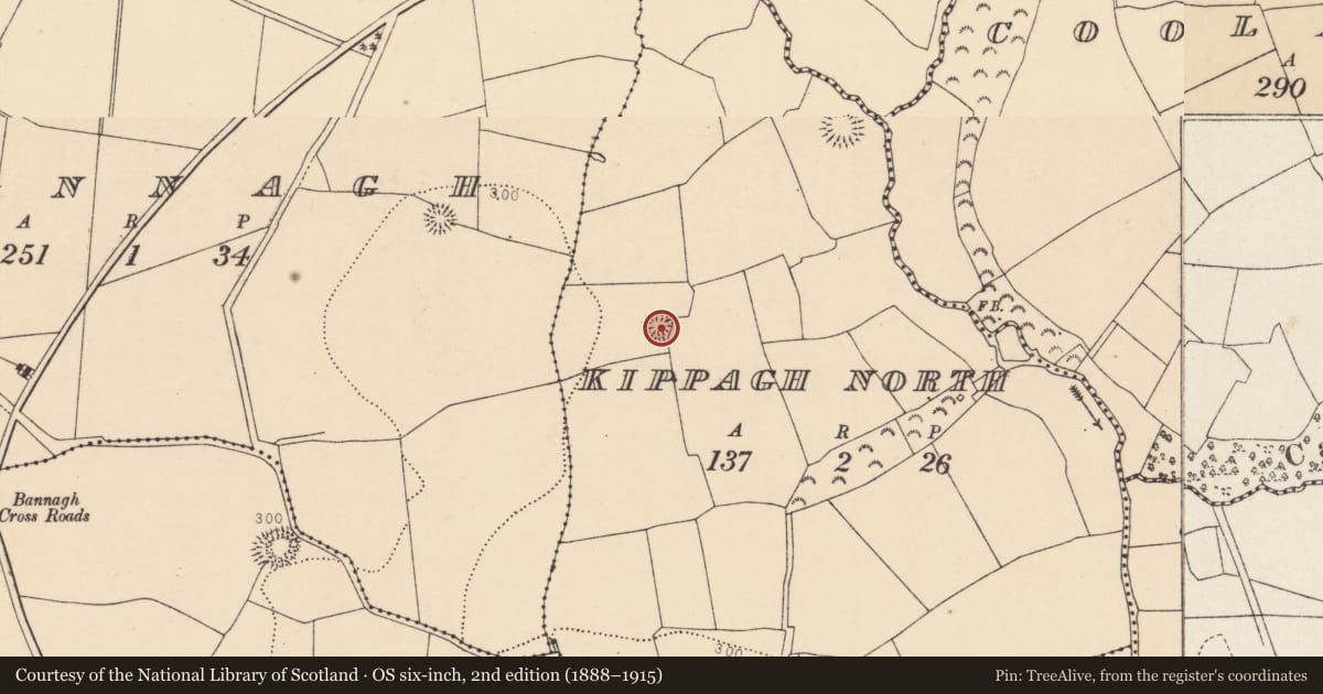 Ordnance Survey six-inch map, 2nd edition (1888–1915) covering the location of Ringfort - rath, Kippagh North, County Cork, with a pin at the register's coordinates
