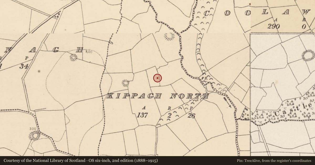 Ordnance Survey six-inch map, 2nd edition (1888–1915) covering the location of Fulacht fia, Kippagh North, County Cork, with a pin at the register's coordinates