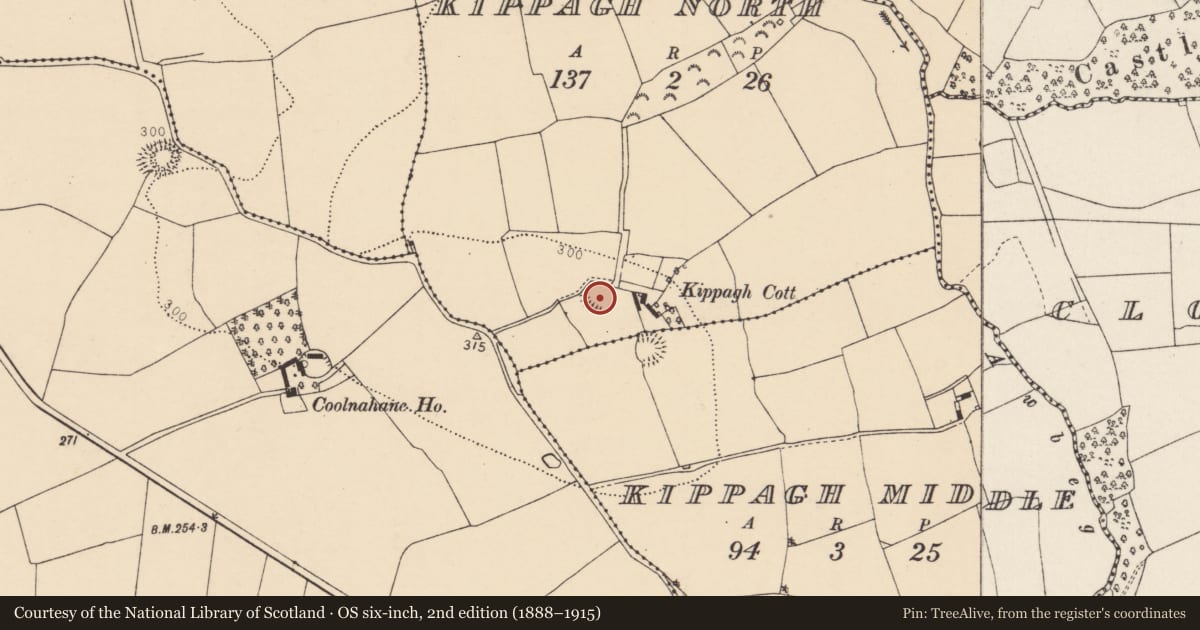 Ordnance Survey six-inch map, 2nd edition (1888–1915) covering the location of Ringfort - rath, Kippagh North, County Cork, with a pin at the register's coordinates