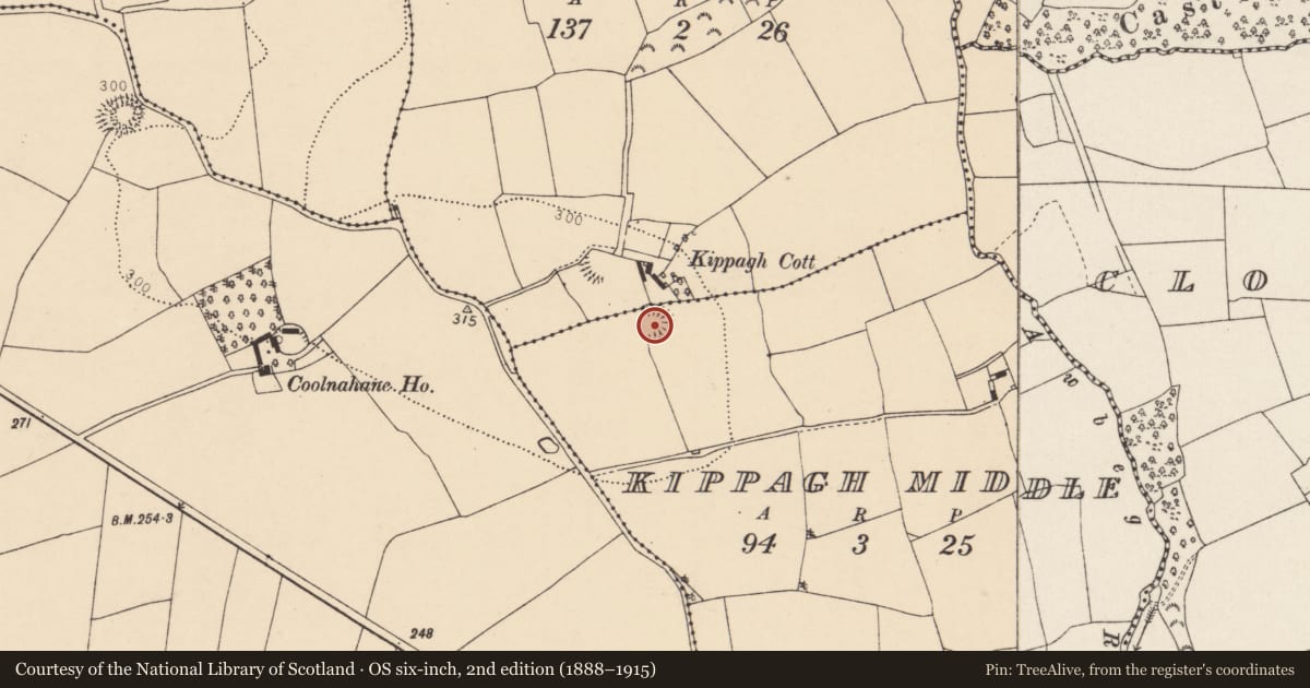Ordnance Survey six-inch map, 2nd edition (1888–1915) covering the location of Ringfort - rath, Kippagh Middle, County Cork, with a pin at the register's coordinates