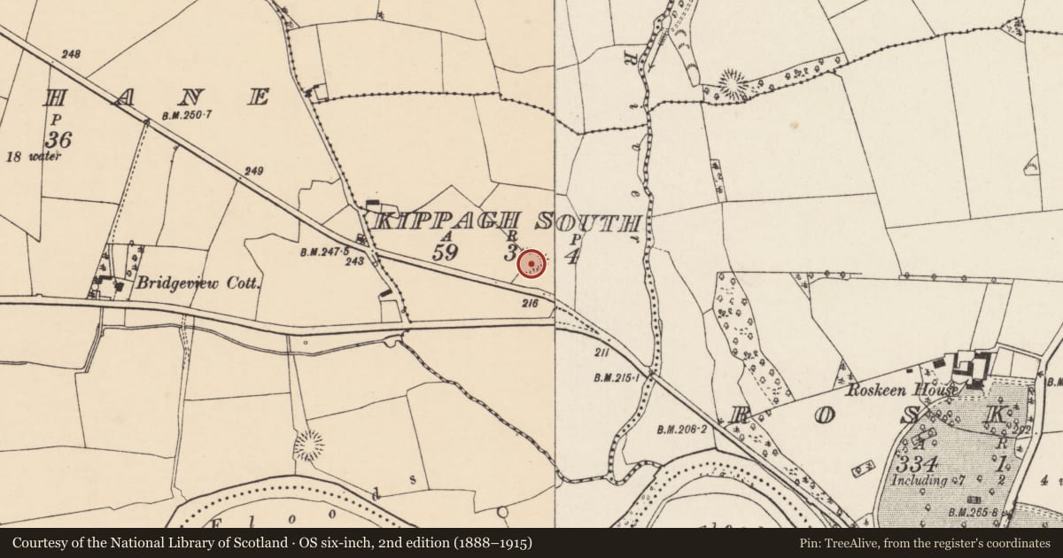Ordnance Survey six-inch map, 2nd edition (1888–1915) covering the location of Ringfort - rath, Kippagh South, County Cork, with a pin at the register's coordinates