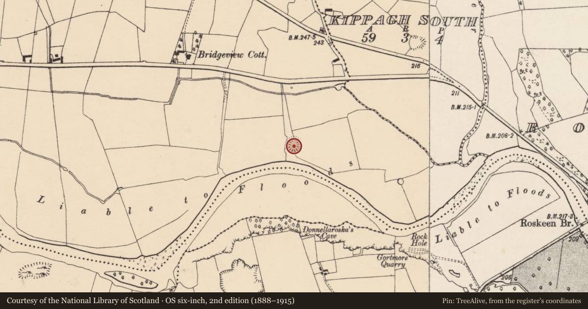 Ordnance Survey six-inch map, 2nd edition (1888–1915) covering the location of Ringfort - rath, Coolnahane, County Cork, with a pin at the register's coordinates