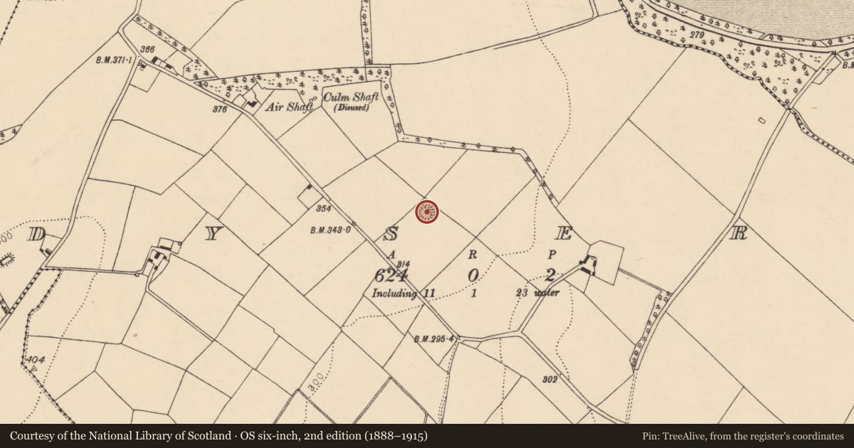 Ordnance Survey six-inch map, 2nd edition (1888–1915) covering the location of Ringfort - rath, Dysert, County Cork, with a pin at the register's coordinates