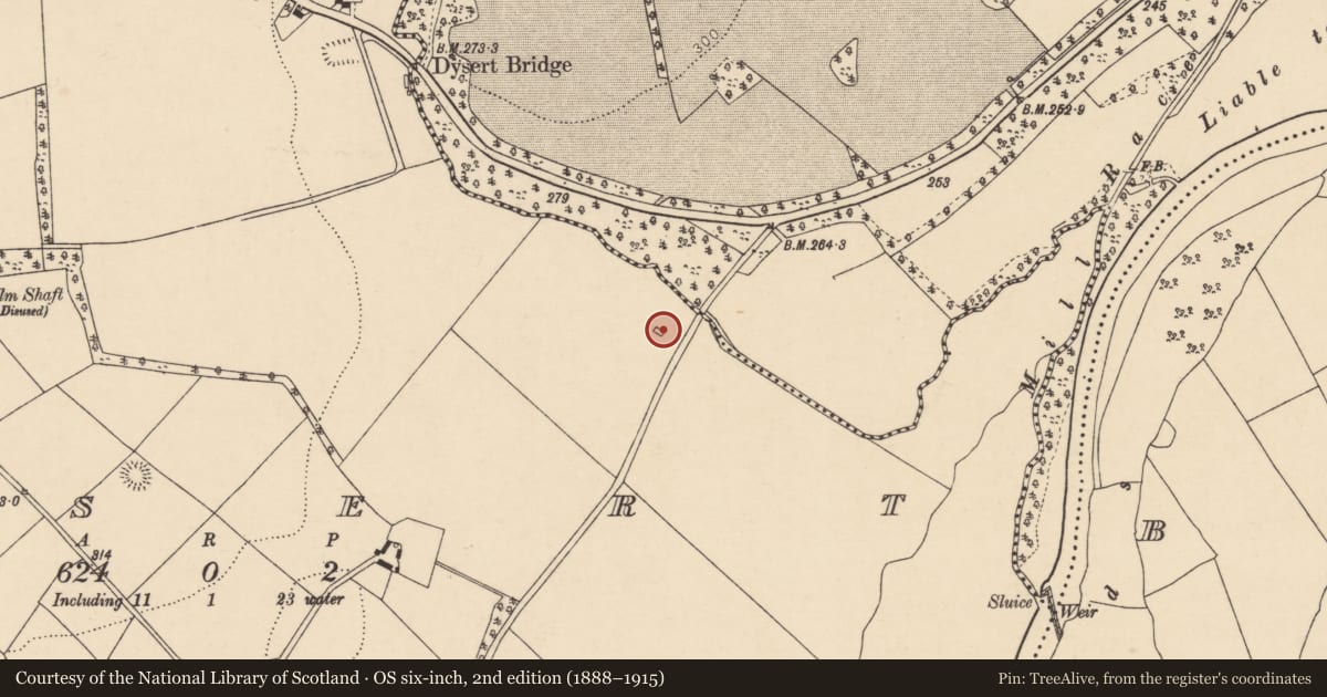 Ordnance Survey six-inch map, 2nd edition (1888–1915) covering the location of Kiln - lime, Dysert, County Cork, with a pin at the register's coordinates