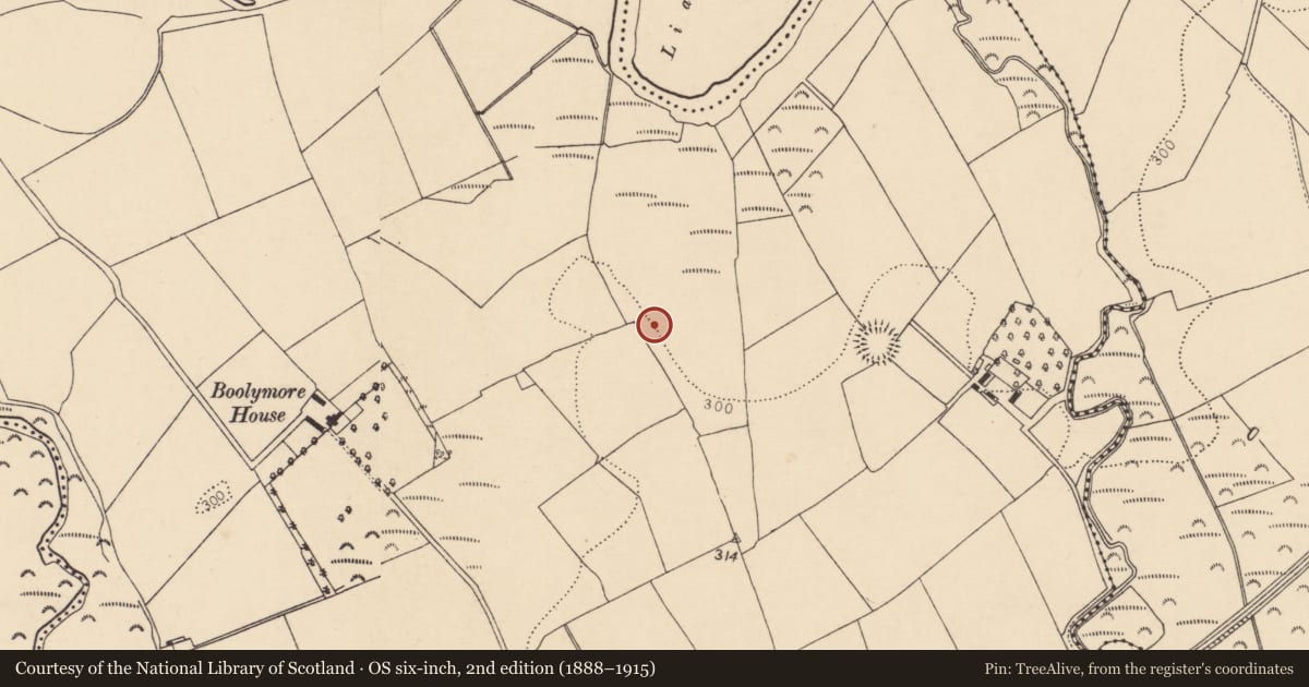 Ordnance Survey six-inch map, 2nd edition (1888–1915) covering the location of Ringfort - rath, Boolymore, County Cork, with a pin at the register's coordinates