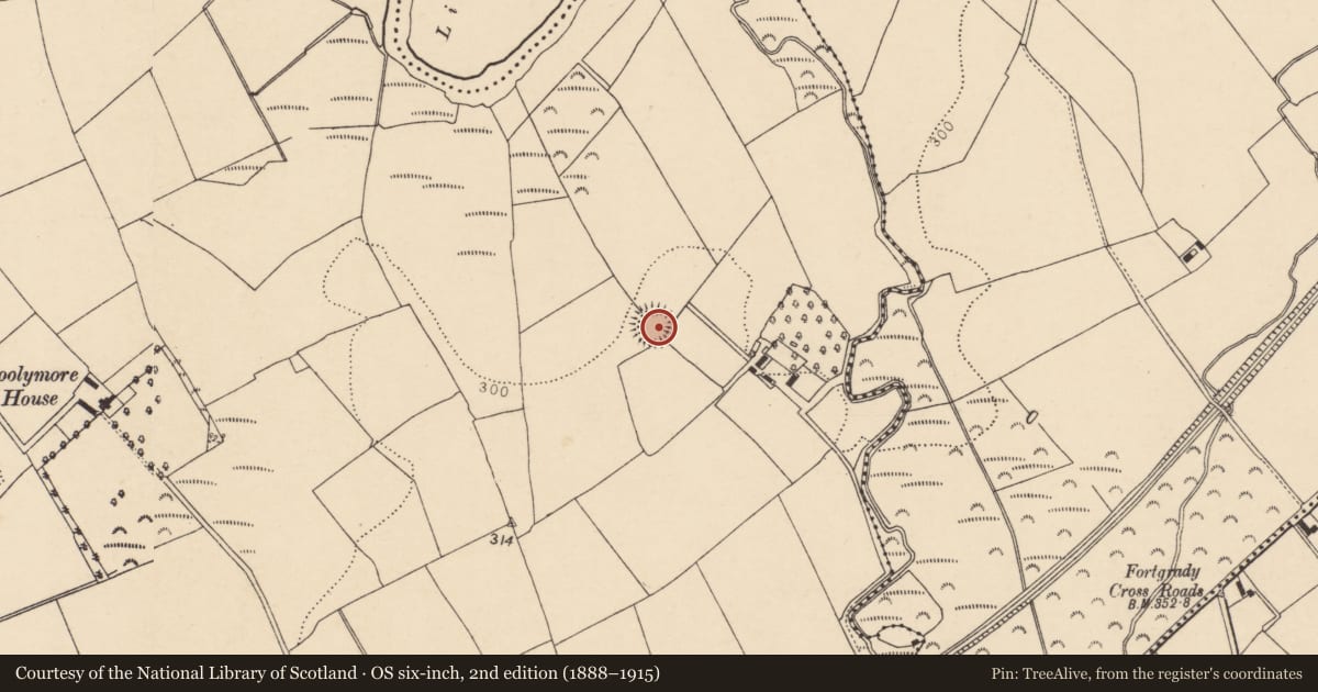 Ordnance Survey six-inch map, 2nd edition (1888–1915) covering the location of Souterrain, Boolymore, County Cork, with a pin at the register's coordinates