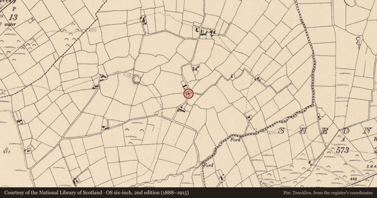 Ordnance Survey six-inch map, 2nd edition (1888–1915) covering the location of Kiln - lime, Derry, County Cork, with a pin at the register's coordinates