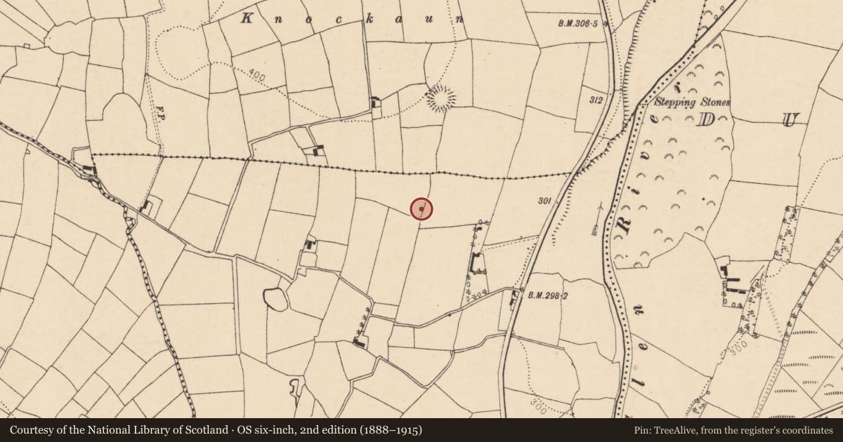 Ordnance Survey six-inch map, 2nd edition (1888–1915) covering the location of Enclosure, Shronebeha, County Cork, with a pin at the register's coordinates