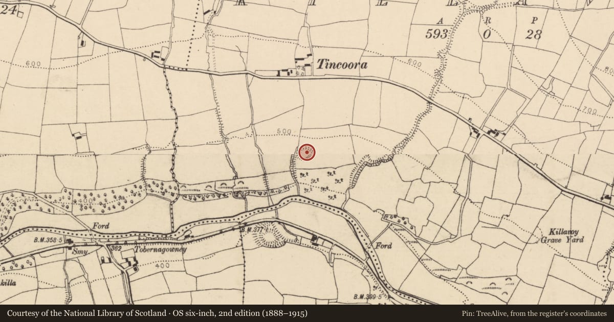 Ordnance Survey six-inch map, 2nd edition (1888–1915) covering the location of Ringfort - rath, Killavoy, County Cork, with a pin at the register's coordinates