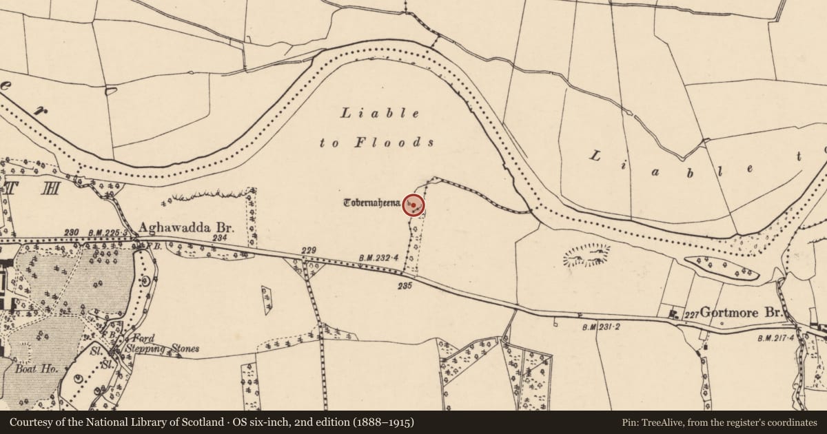 Ordnance Survey six-inch map, 2nd edition (1888–1915) covering the location of Ritual site - holy well, Curraghrour West, County Cork, with a pin at the register's coordinates