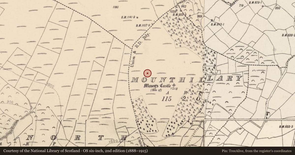 Ordnance Survey six-inch map, 2nd edition (1888–1915) covering the location of Enclosure, Mounthillary, County Cork, with a pin at the register's coordinates