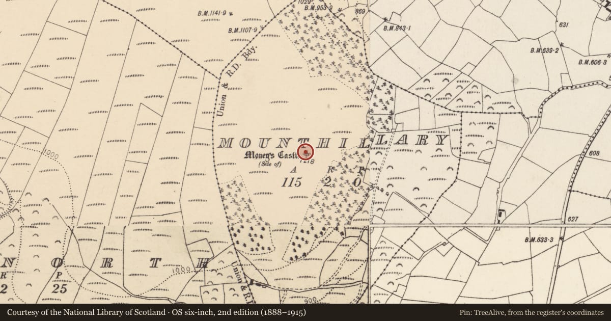 Ordnance Survey six-inch map, 2nd edition (1888–1915) covering the location of Cairn - unclassified, Mounthillary, County Cork, with a pin at the register's coordinates