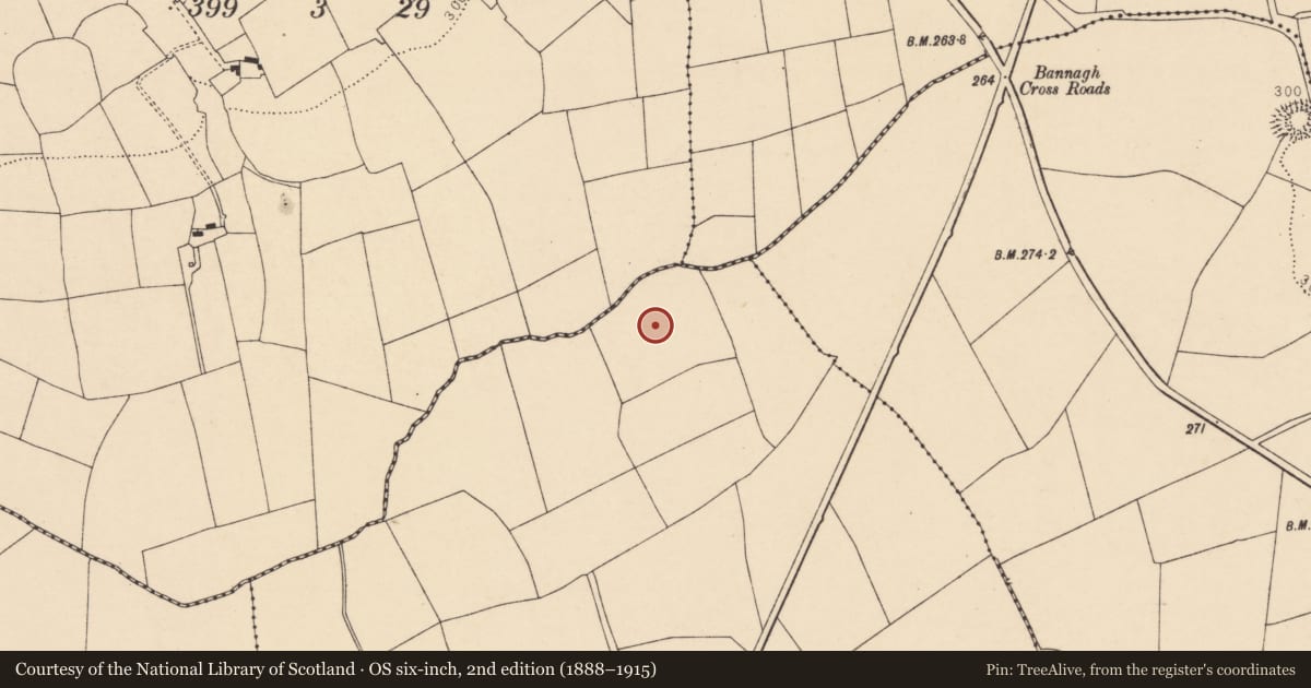 Ordnance Survey six-inch map, 2nd edition (1888–1915) covering the location of Ringfort - rath, Gurteenbeha, County Cork, with a pin at the register's coordinates