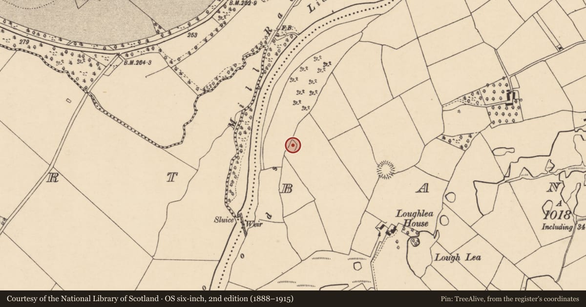 Ordnance Survey six-inch map, 2nd edition (1888–1915) covering the location of Ringfort - rath, Banteer, County Cork, with a pin at the register's coordinates