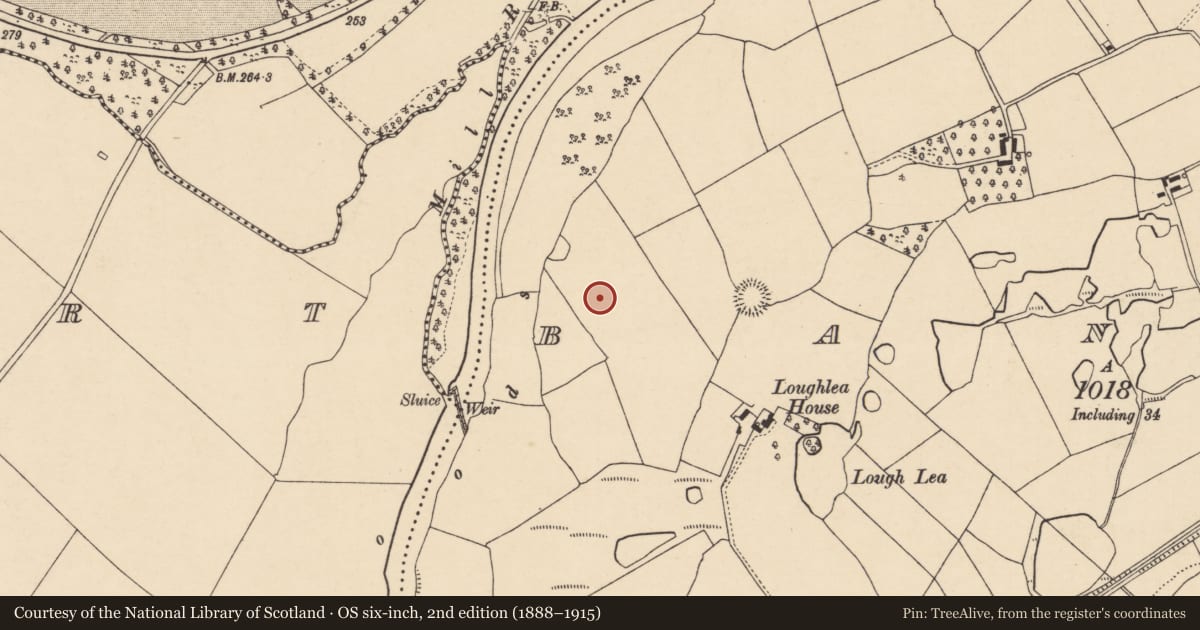 Ordnance Survey six-inch map, 2nd edition (1888–1915) covering the location of Souterrain, Banteer, County Cork, with a pin at the register's coordinates