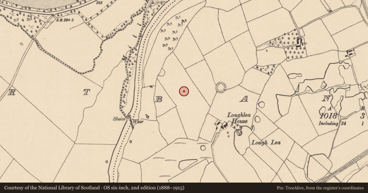 Ordnance Survey six-inch map, 2nd edition (1888–1915) covering the location of Souterrain, Banteer, County Cork, with a pin at the register's coordinates