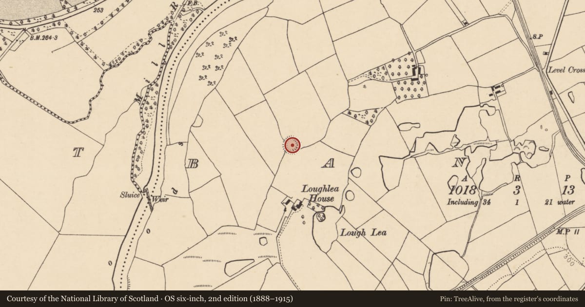 Ordnance Survey six-inch map, 2nd edition (1888–1915) covering the location of Ringfort - rath, Banteer, County Cork, with a pin at the register's coordinates