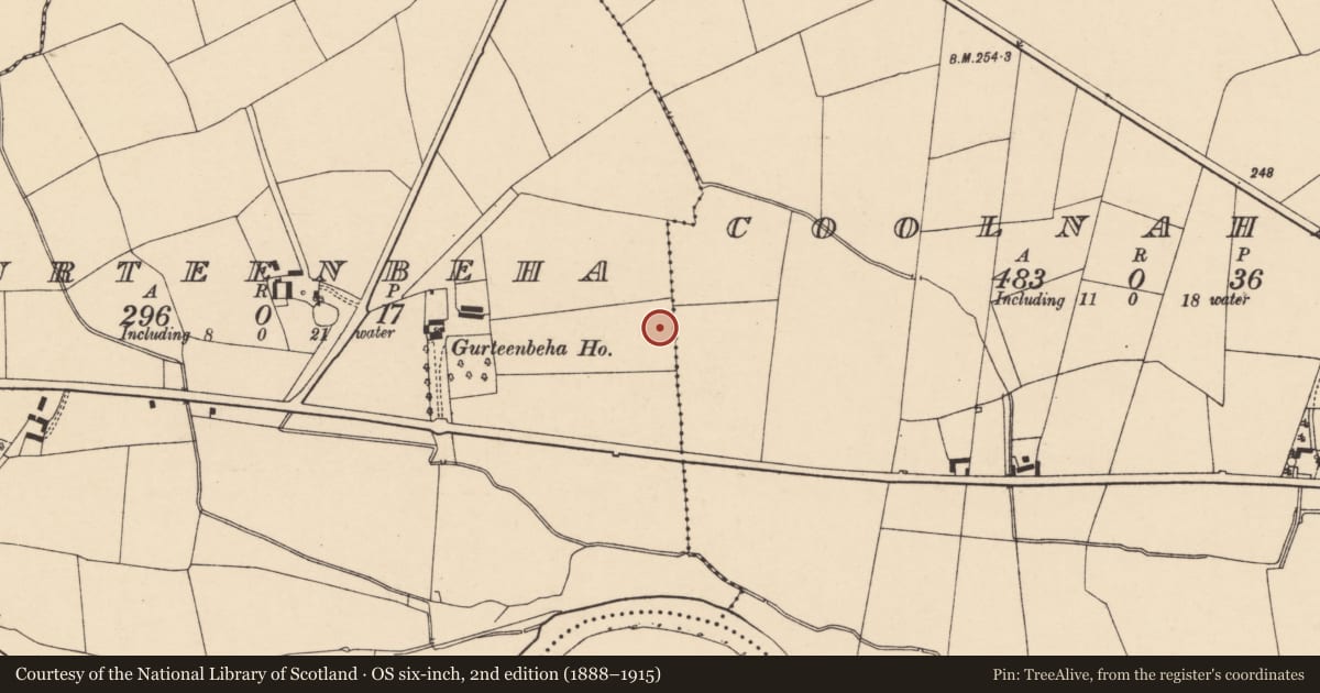 Ordnance Survey six-inch map, 2nd edition (1888–1915) covering the location of Ringfort - rath, Gurteenbeha, County Cork, with a pin at the register's coordinates