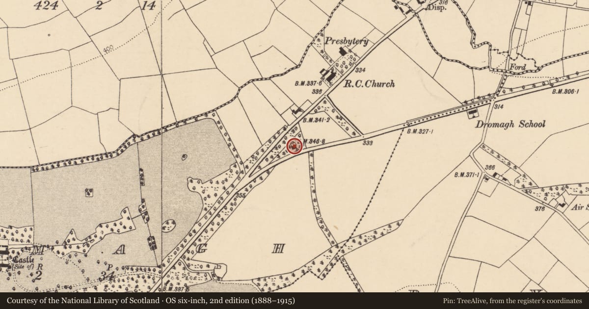 Ordnance Survey six-inch map, 2nd edition (1888–1915) covering the location of School, Dromagh, County Cork, with a pin at the register's coordinates