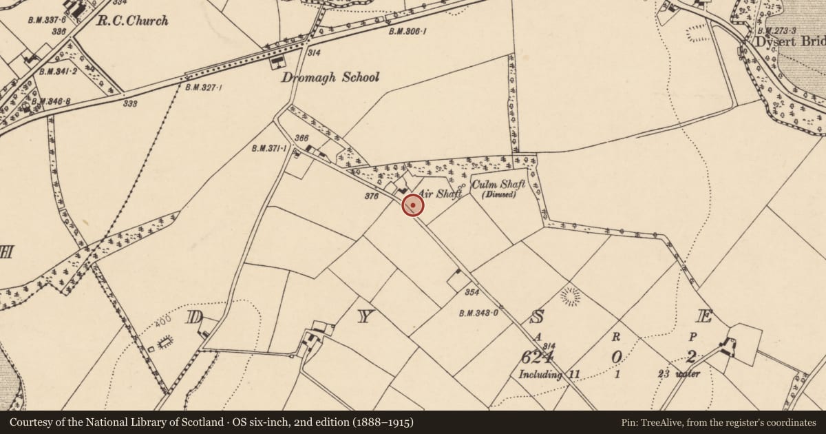 Ordnance Survey six-inch map, 2nd edition (1888–1915) covering the location of House - vernacular house, Dysert, County Cork, with a pin at the register's coordinates