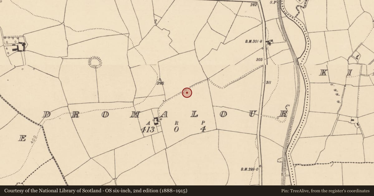Ordnance Survey six-inch map, 2nd edition (1888–1915) covering the location of Fulacht fia, Dromalour, County Cork, with a pin at the register's coordinates