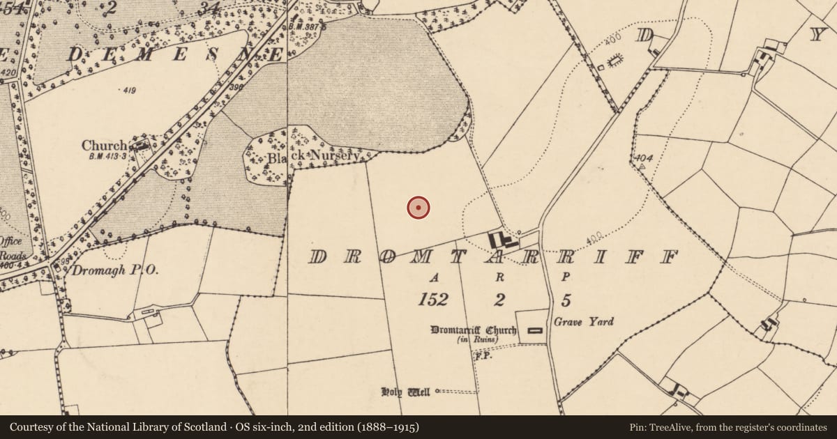 Ordnance Survey six-inch map, 2nd edition (1888–1915) covering the location of Fulacht fia, Dromtarriff, County Cork, with a pin at the register's coordinates