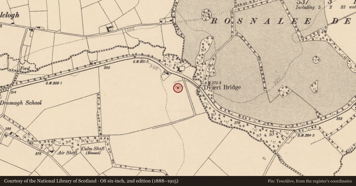 Ordnance Survey six-inch map, 2nd edition (1888–1915) covering the location of Standing stone, Dysert, County Cork, with a pin at the register's coordinates