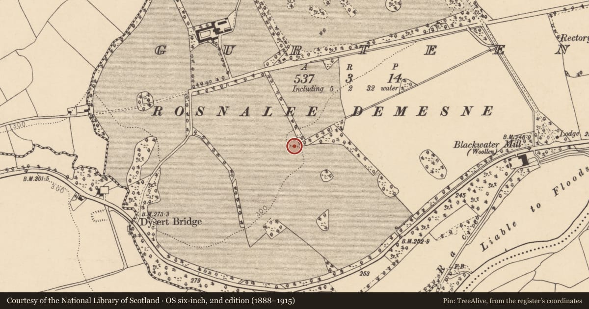 Ordnance Survey six-inch map, 2nd edition (1888–1915) covering the location of Fulacht fia, Gurteen, County Cork, with a pin at the register's coordinates