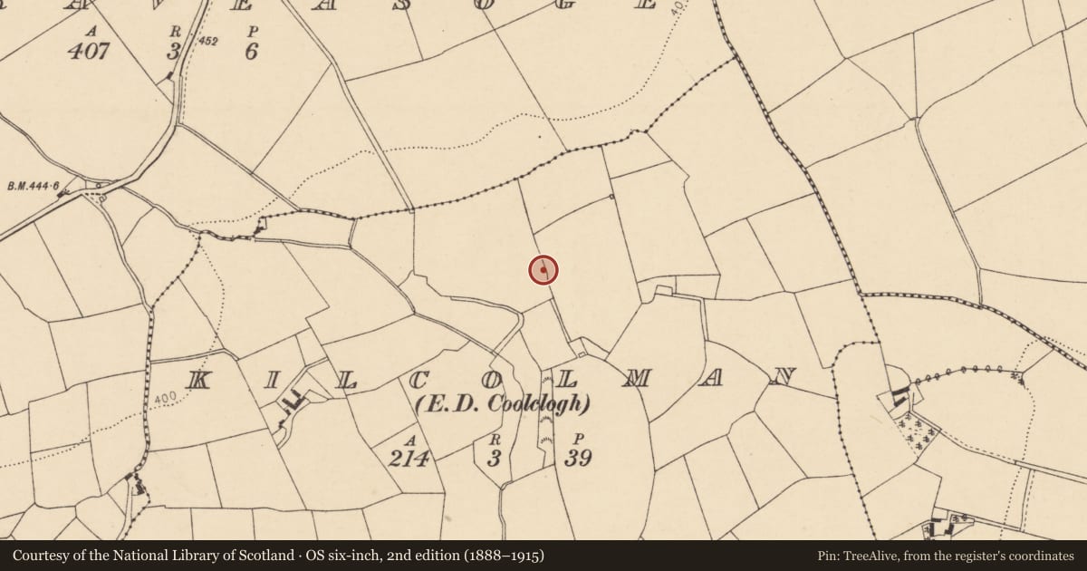 Ordnance Survey six-inch map, 2nd edition (1888–1915) covering the location of Fulacht fia, Kilcolman (Duhallow By., Dromtarriff Par.), County Cork, with a pin at the register's coordinates