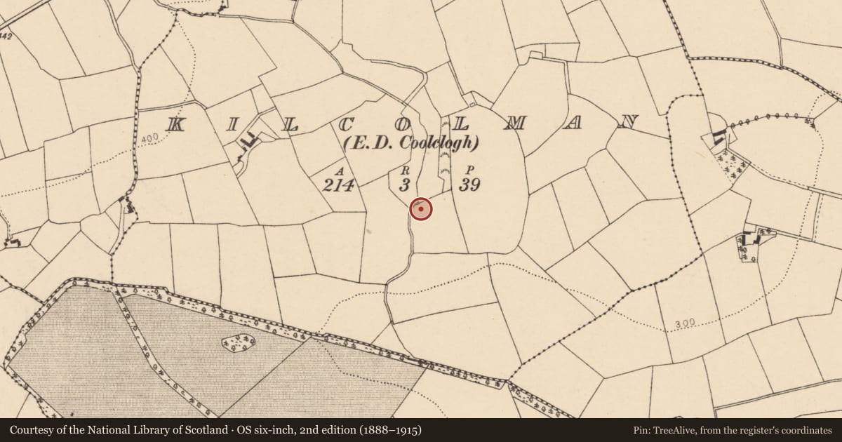 Ordnance Survey six-inch map, 2nd edition (1888–1915) covering the location of Fulacht fia, Kilcolman (Duhallow By., Dromtarriff Par.), County Cork, with a pin at the register's coordinates